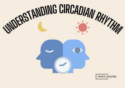 The Science of Sleep: Understanding Your Circadian Rhythm